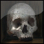 =Zforce=UNdead